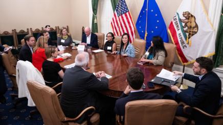 EU Parliamentary Delegation