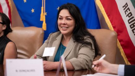 EU Parliamentary Delegation